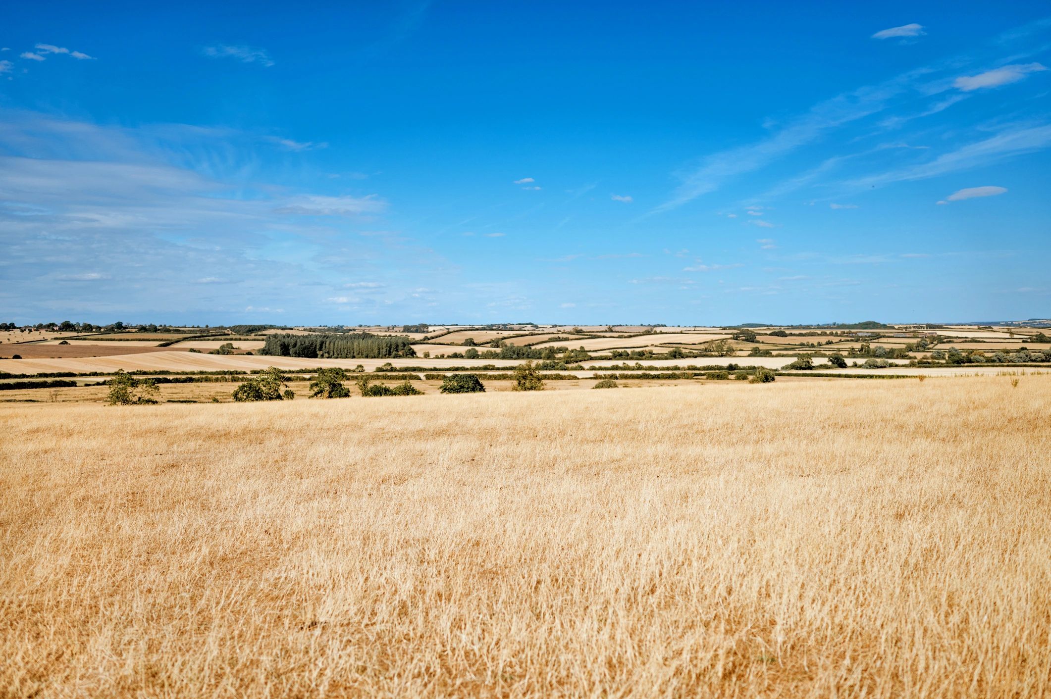 Open acreage and farmland available for sale